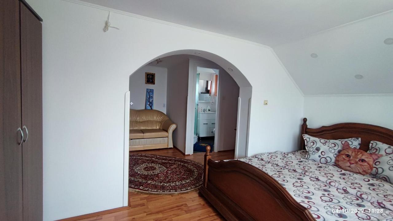 Dariamaf Daire Câmpulung Moldovenesc Dış mekan fotoğraf