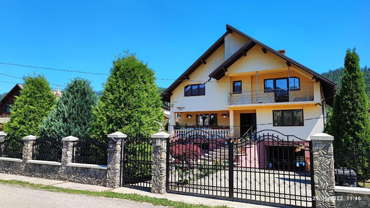 Dariamaf Daire Câmpulung Moldovenesc Dış mekan fotoğraf