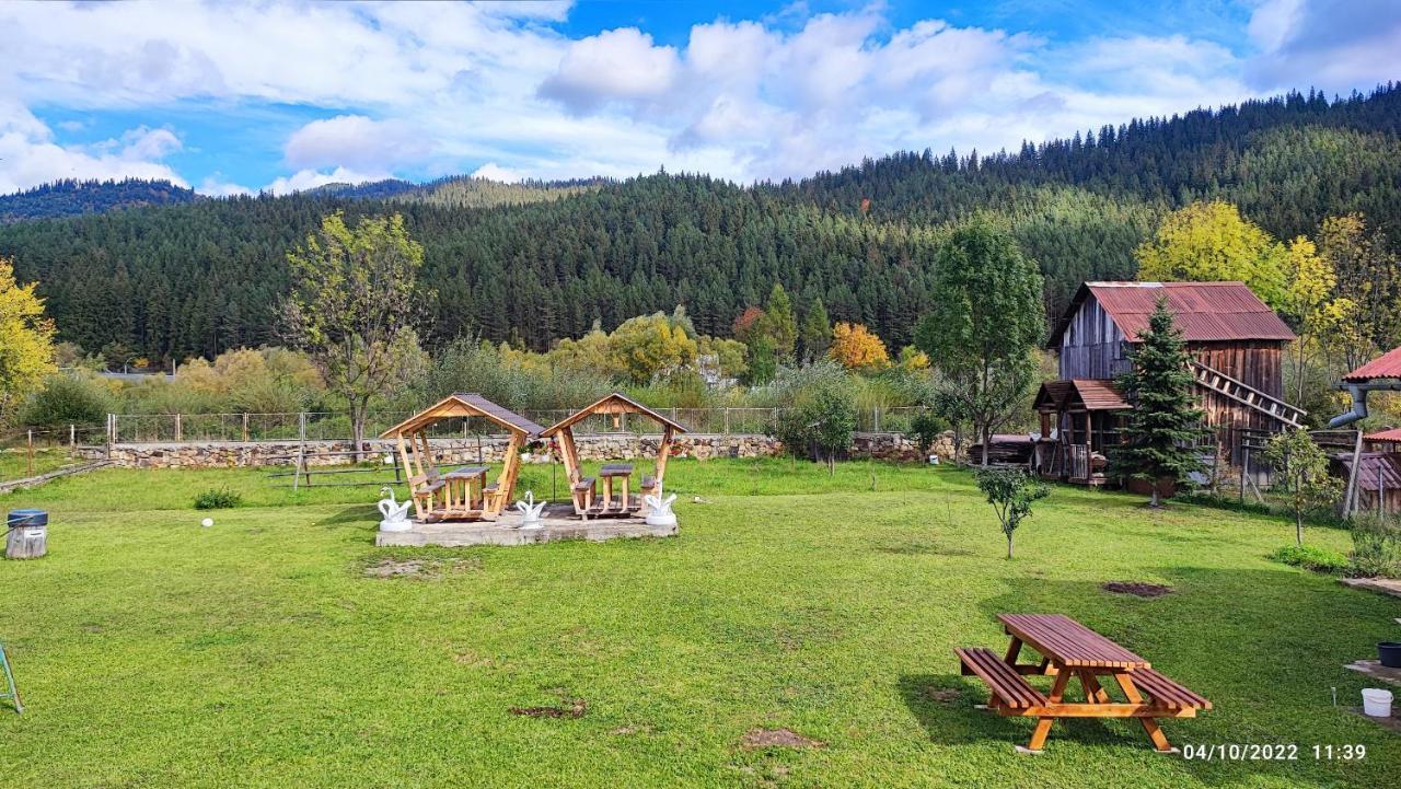 Dariamaf Daire Câmpulung Moldovenesc Dış mekan fotoğraf